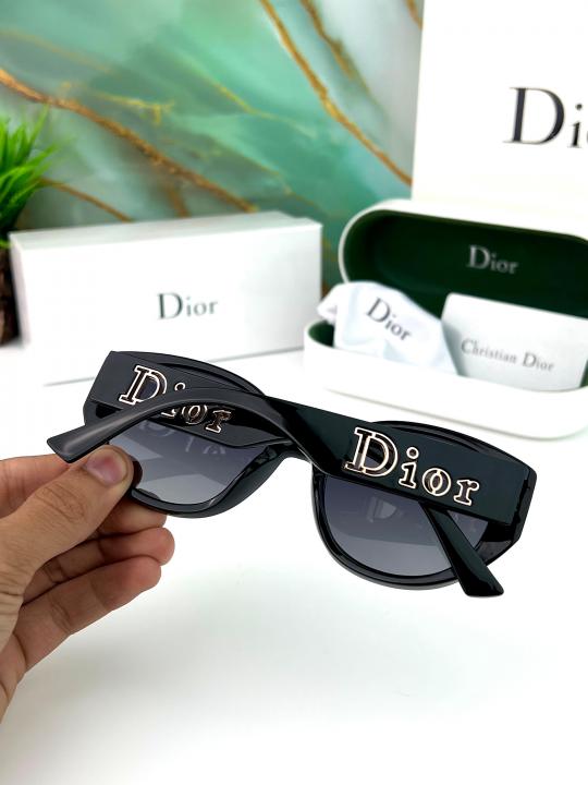 DIOR SUNGLASS D-170