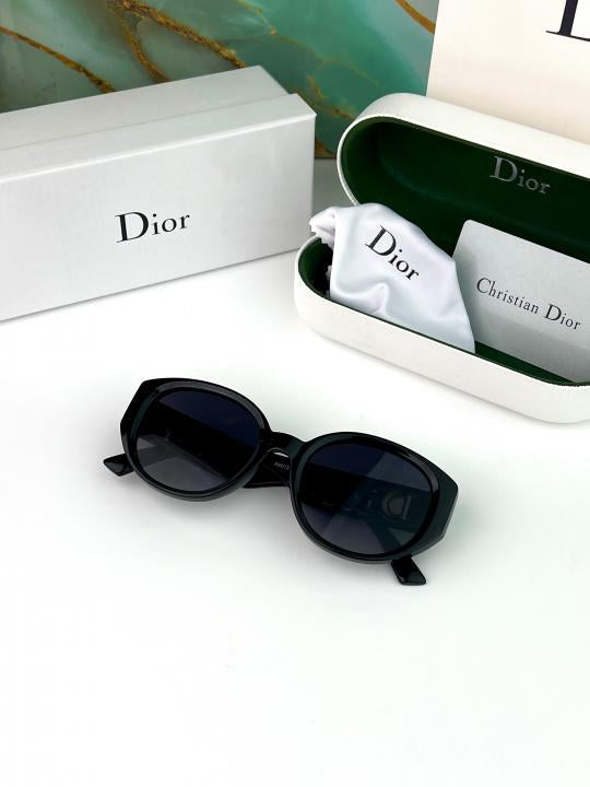 DIOR SUNGLASS D-170