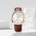 Fossiil Townsman Chronograph DarkBrown-Copper-White